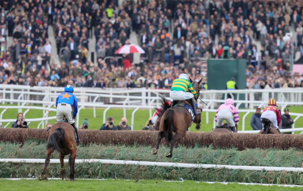 Fact To File jumping a fence in the 2024 Brown Advisory at the Cheltenham Festival