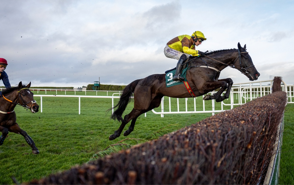 Galopin Des Champs jumping a fence in the Irish Gold Cup at Leopardstown