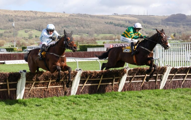 Majborough wins the Triumph Hurdle in 2024