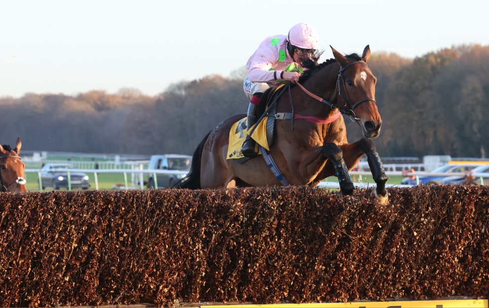 Royale Pagaille jumping a fence at Haydock