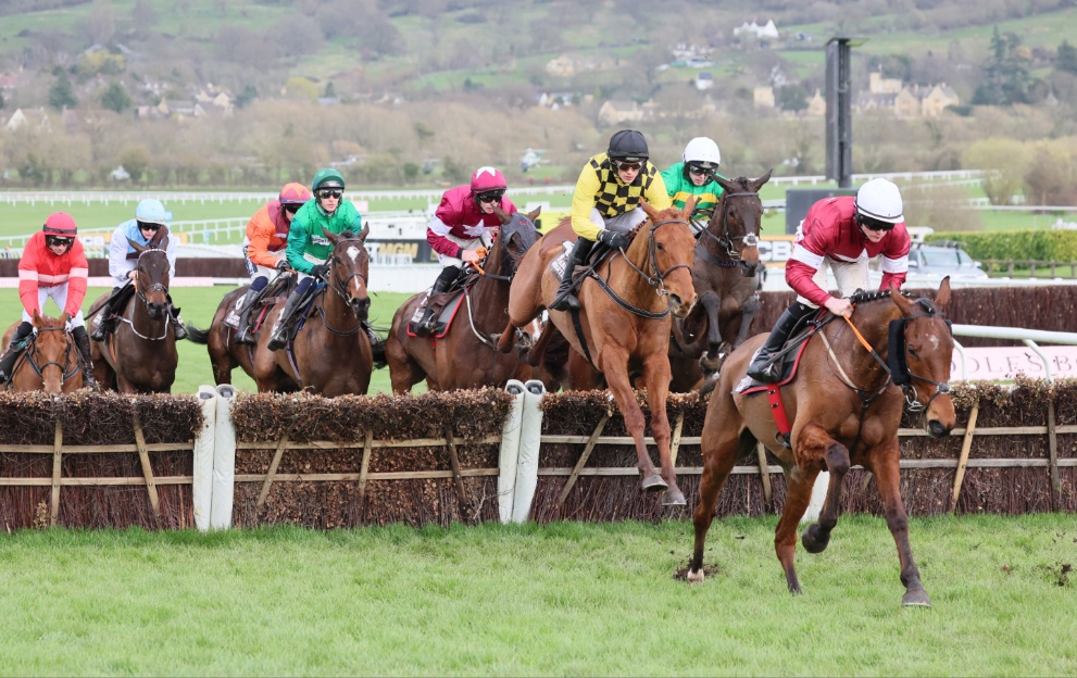 Stellar Story jumping in the Albert Bartlett Novices' Hurdle