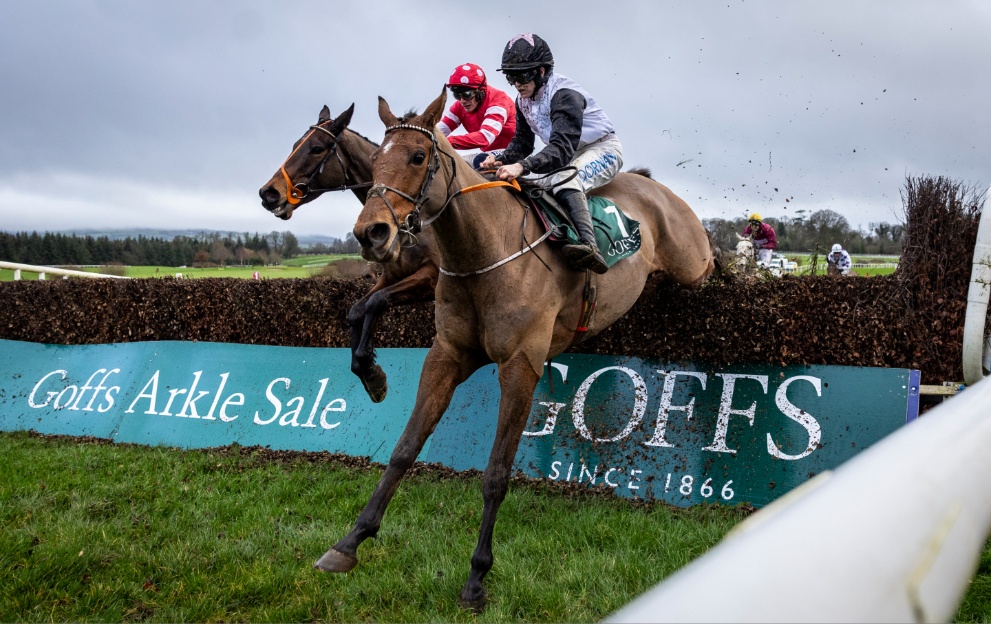 Ain't That A Shame jumping a fence in the Thyestes Handicap Chase at Gowran Park