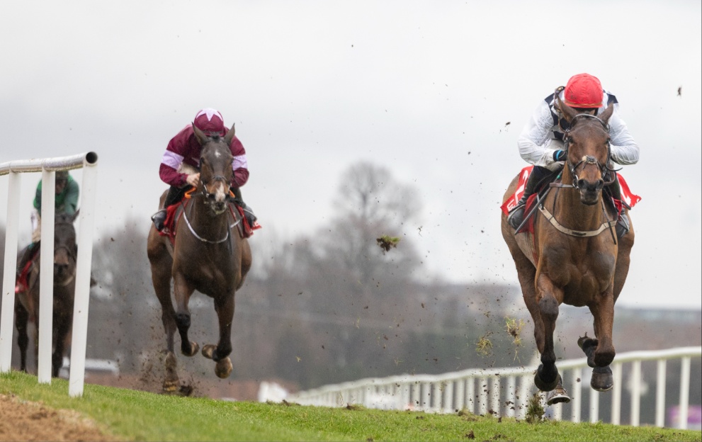 Ballyburn running to the winning line