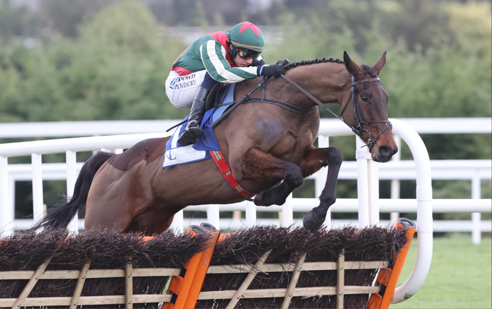 Final Demand jumping a hurdle at Leopardstown