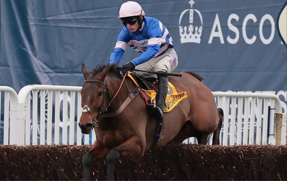 Pic D'Orhy wins the Ascot Chase