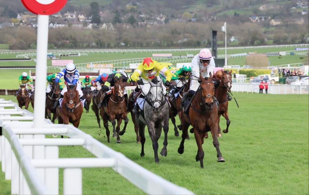 Paul Townend rides Absurde to victory in the 2024 County Hurdle