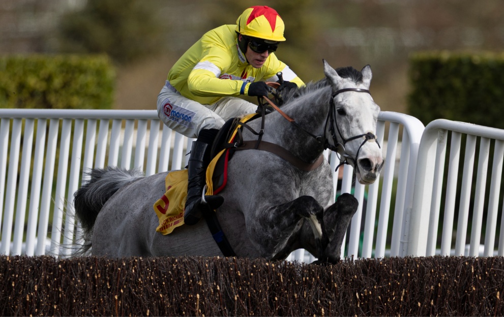 Caldwell Potter jumping a fence at Cheltenham