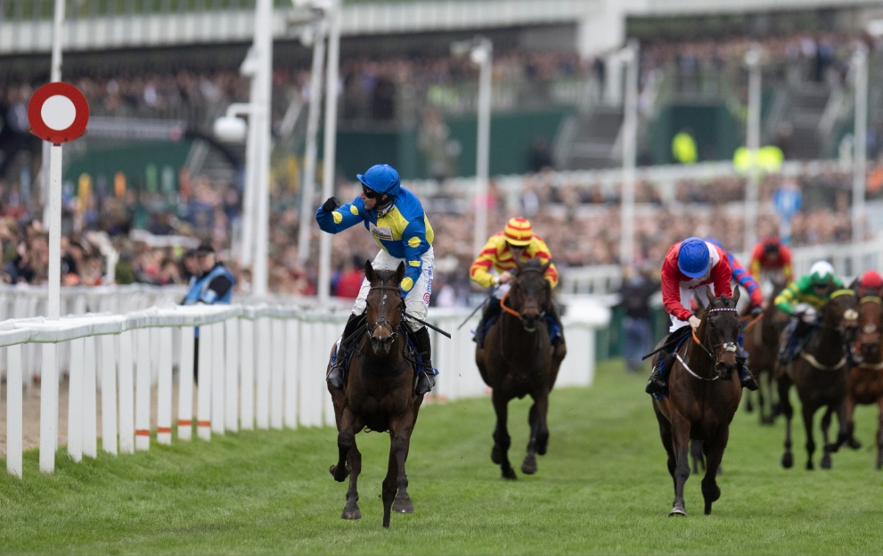 Langer Dan wins the Coral Cup at Cheltenham