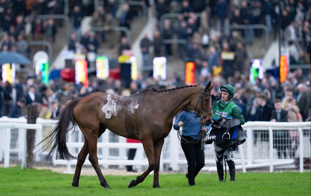 El Fabiolo with jockey Paul Townend after being pulled up in the Champion Chase