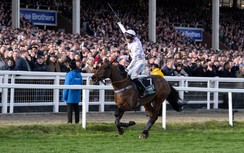 Golden Ace's jockey celebrates winning the Champion Hurdle at Cheltenham