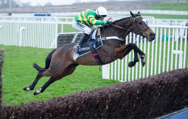 Jonbon jumping a fence