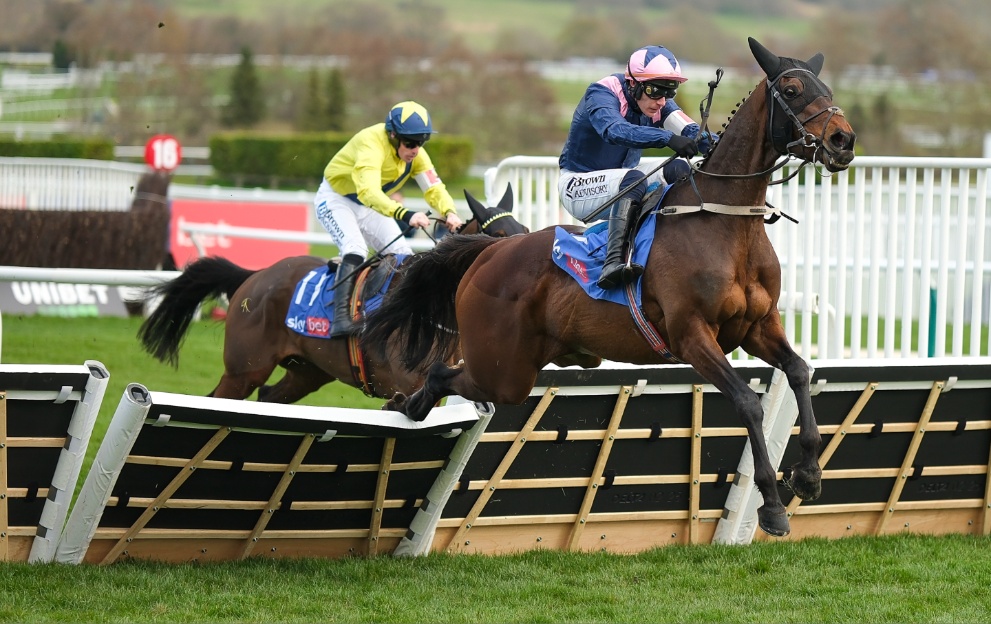 Kopek Des Bordes jumping an obstacle en route to winning the Supreme Novices' Hurdle