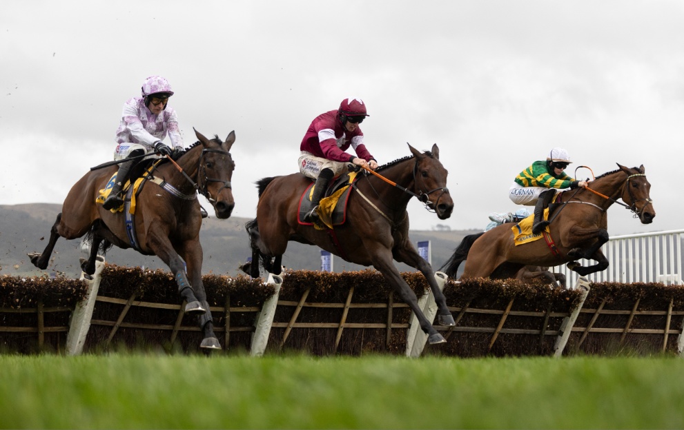 Mares' Novices' Hurdle