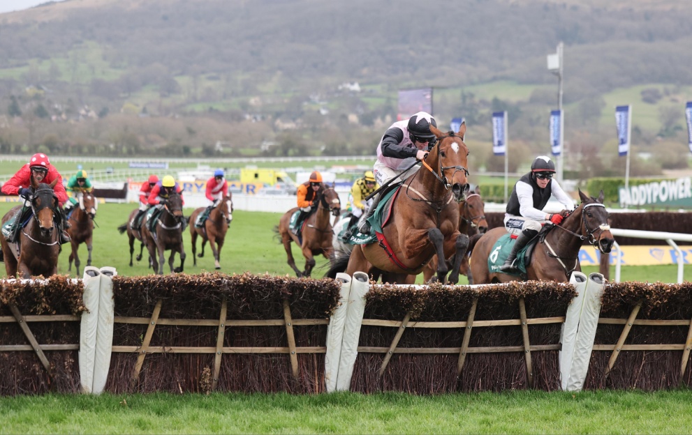 Horses jumping an obstacle in the Paddy Power Stayers' Hurdle