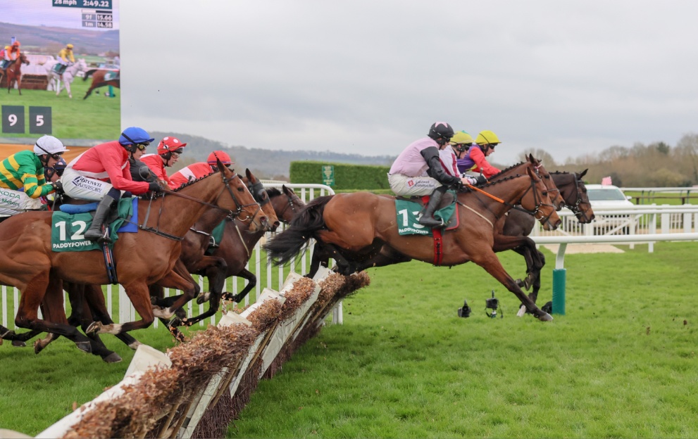 Horses running in the Paddy Power Stayers' Hurdle