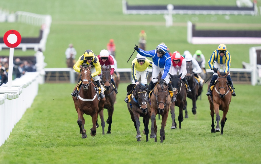 Poniros wins the Triumph Hurdle at the Cheltenham Festival