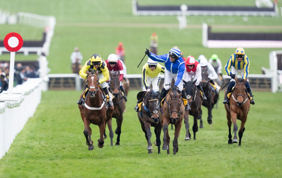 Cheltenham Race Card Today: Friday Day 4 Ultimate Guide – Paddy Power News