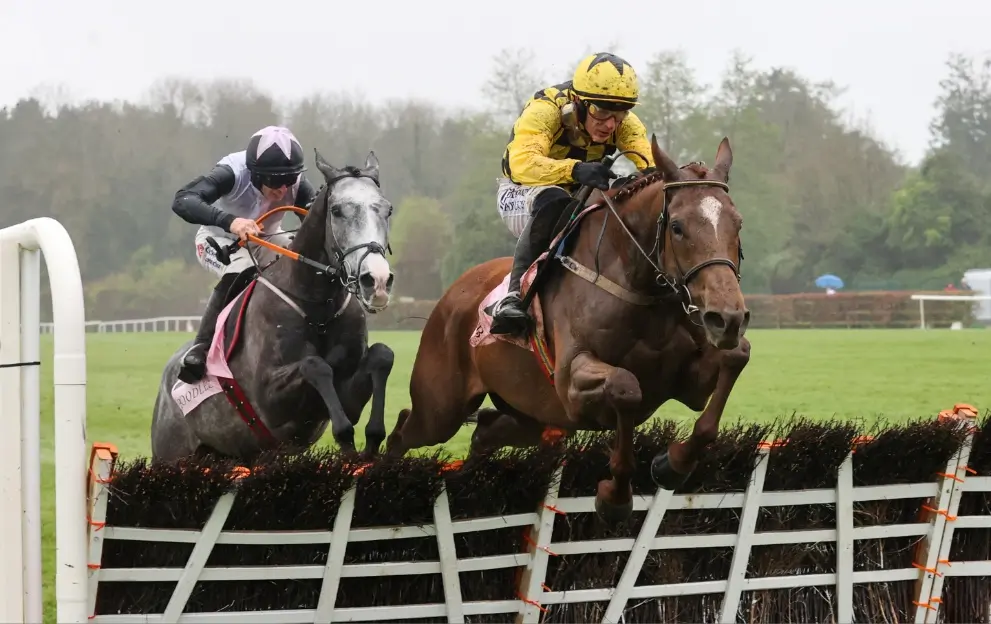 State Man Punchestown Champion Hurdle | Paddy Power News