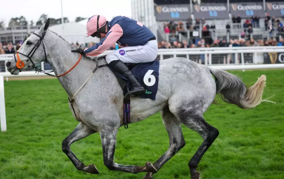 Grand National: The one grey horse in 2026 Aintree race