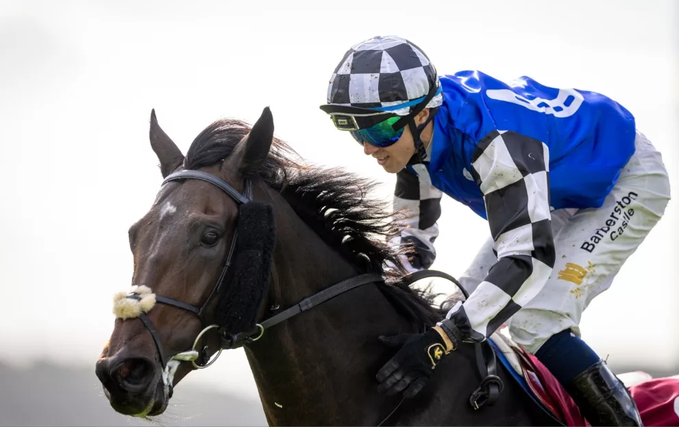Al Riffa Ship Confirmed Melbourne Cup 2025 runners for Tuesday’s race – Paddy Power News