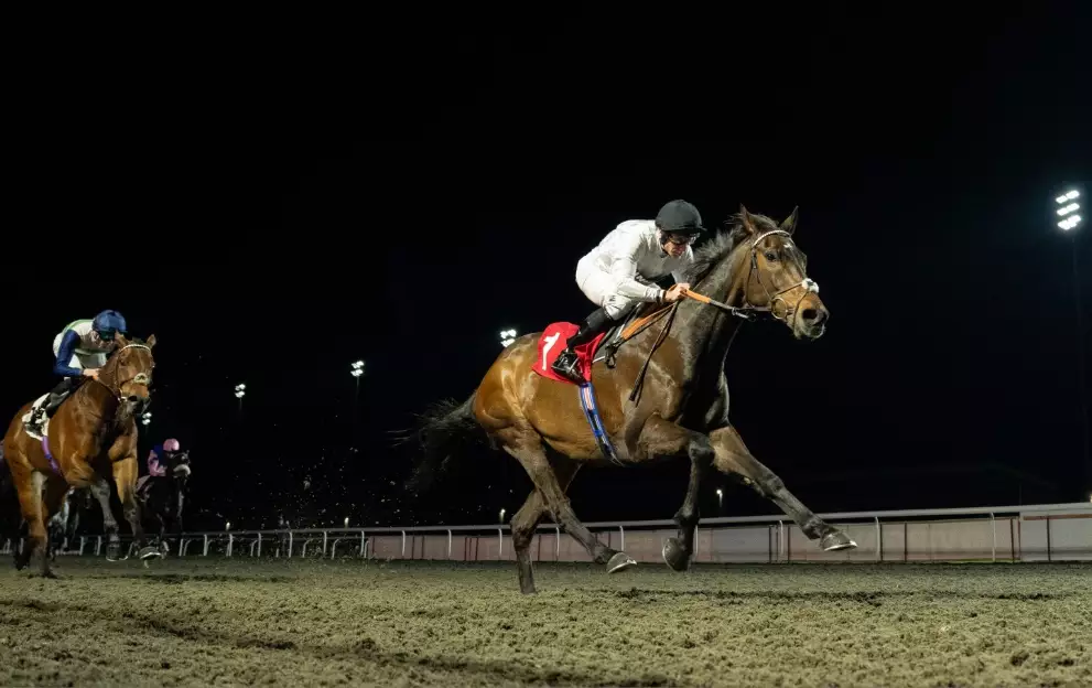 Constitution Hill next race: When is star horse back? – Paddy Power News