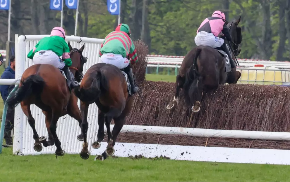 Ayr Racing Ayr Race Card Today: Ultimate Guide to Saturday – Paddy Power News