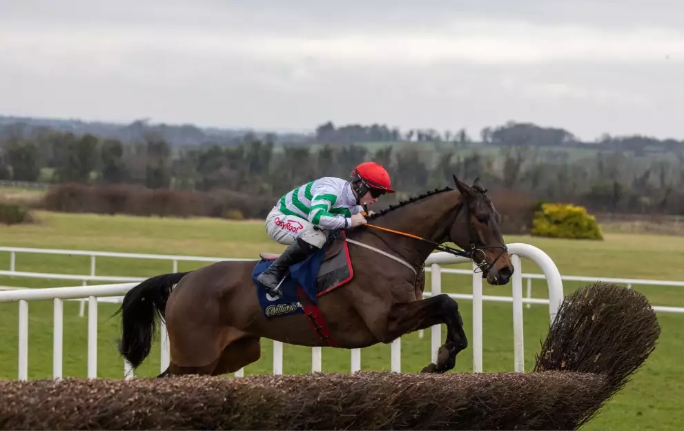 Irish Grand National weights: Full list of 2026 handicaps – Paddy Power ...