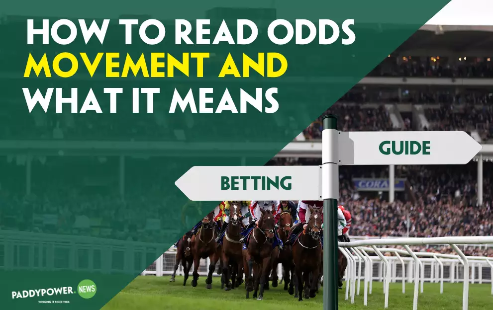 How to read odds movements and what they mean – Paddy Power News