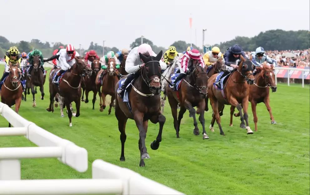 York Ebor Festival race times and schedule for 2026 – Paddy Power News