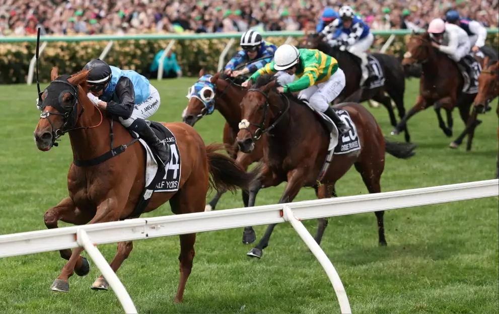 Melbourne Cup date, start time, runners and betting – Paddy Power News