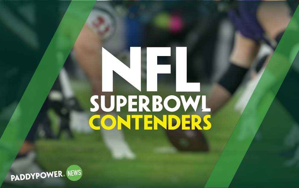 NFL tips: Top Super Bowl contenders feature a 19/1 Dark Horse Shout