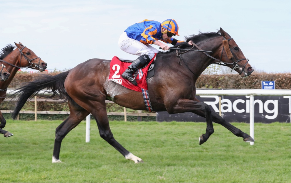 Irish St Leger tips and runner-by-runner guide to Curragh 4.35 on Sunday