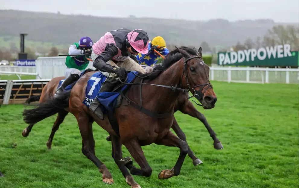Pertemps Final qualification races for Cheltenham 2027 – Paddy Power News