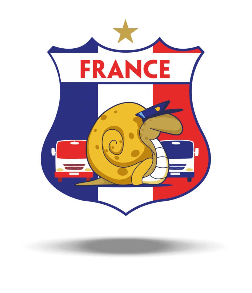 France Fake Crest