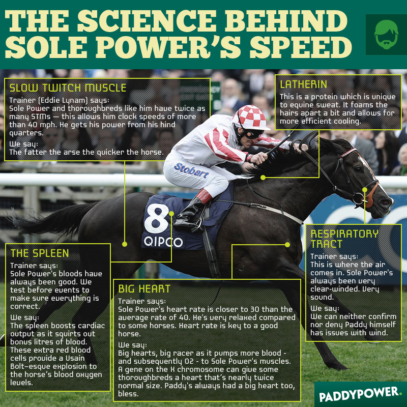 Sole Power Science