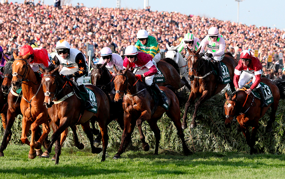 Horse racing grand national betting giants cowboys line betting on favorite