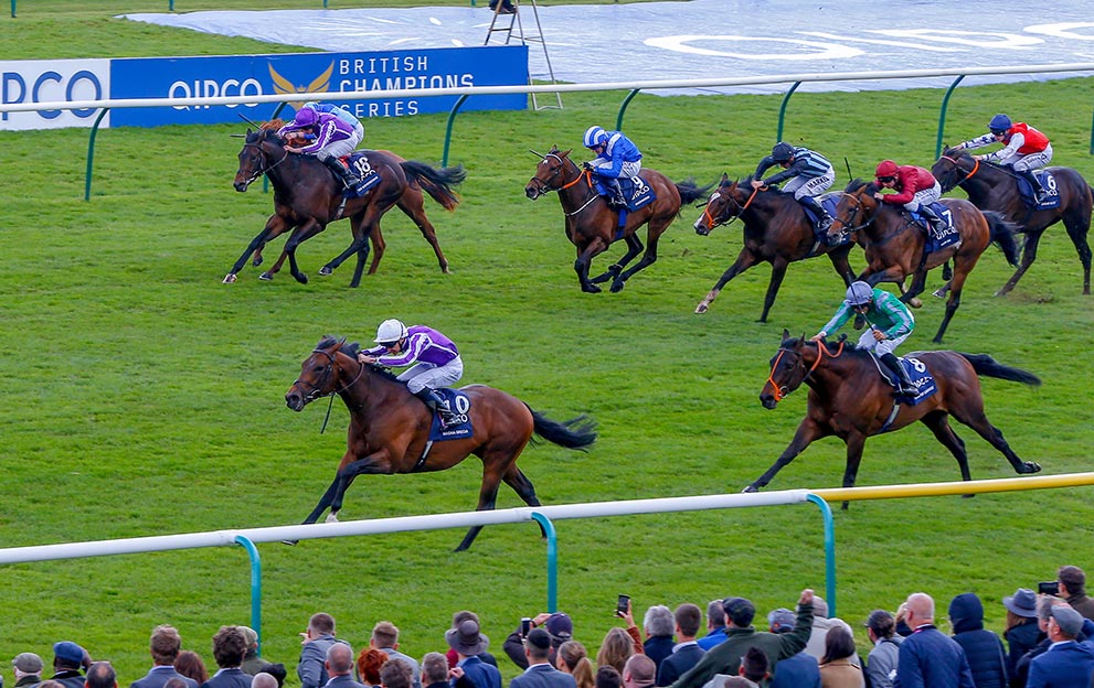 camelot wins 2000 guineas betting