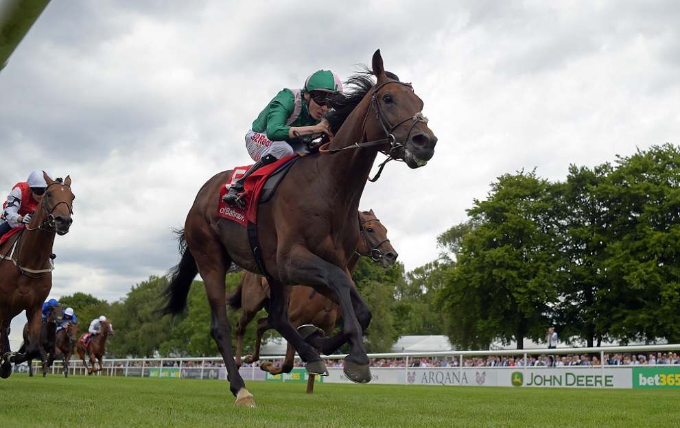 Matt chapman horse racing hi-res stock photography and images - Alamy