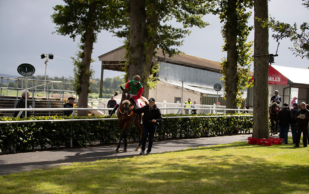 Gowran-Park-parade-ring