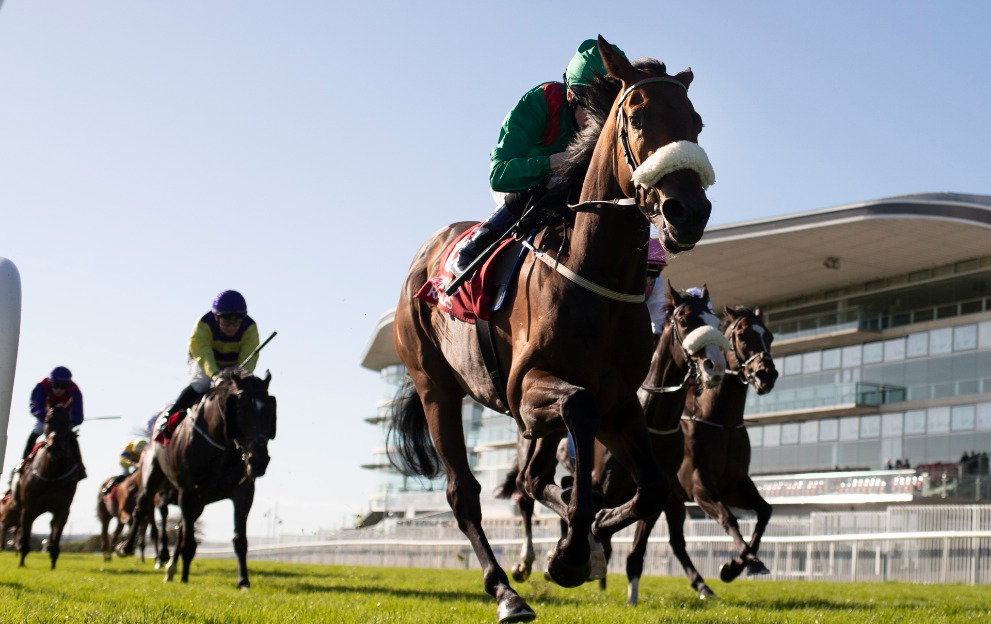 Curragh 2020 | Official Race & Stay Packages | Official 
