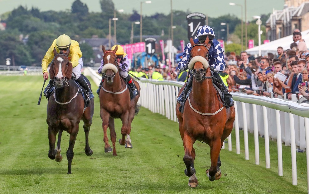 horse race betting odds explained uk