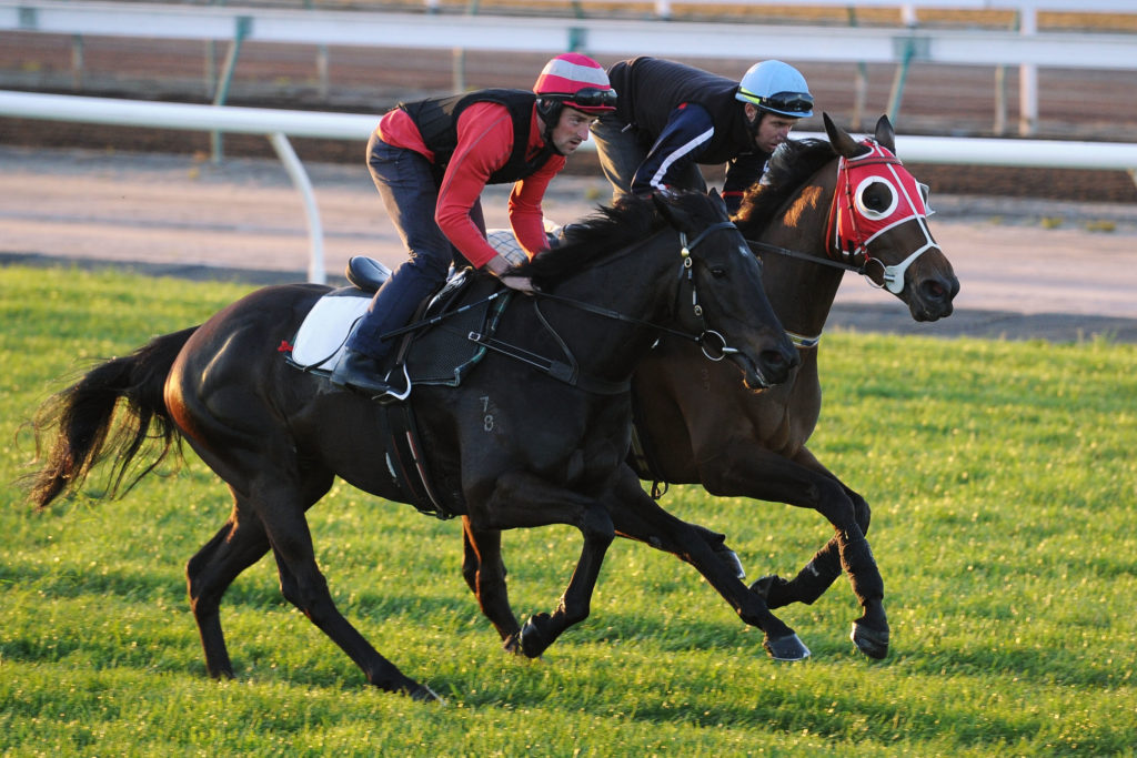 Horse racing betting headgear