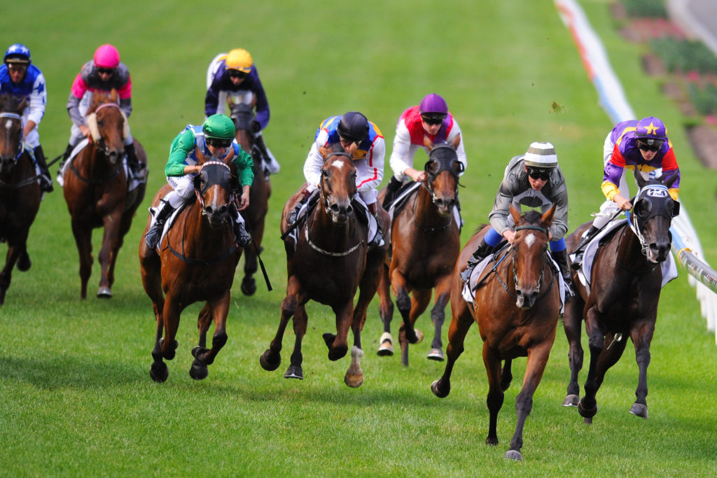 Horse racing betting rule 4 chande momentum oscillator mt4 forex