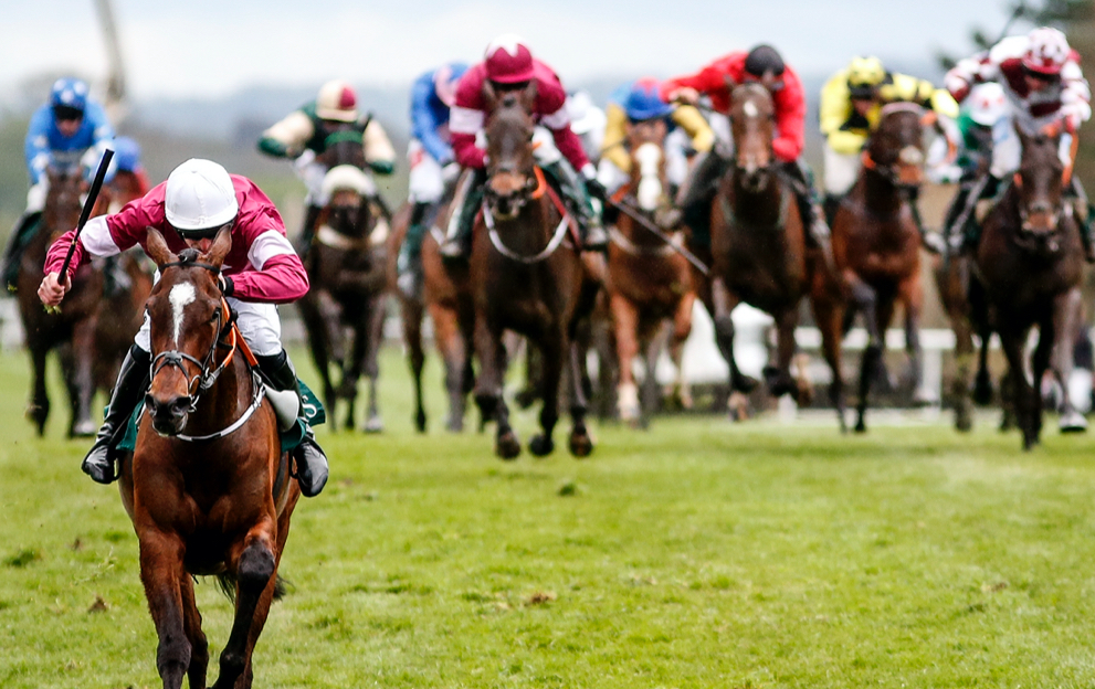 Paddy Power bumper horse racing explained