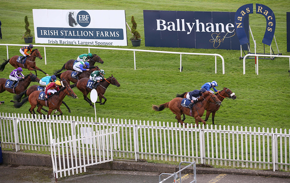 Chief-Little-Hawk-wins-at-Naas-in-August-2020