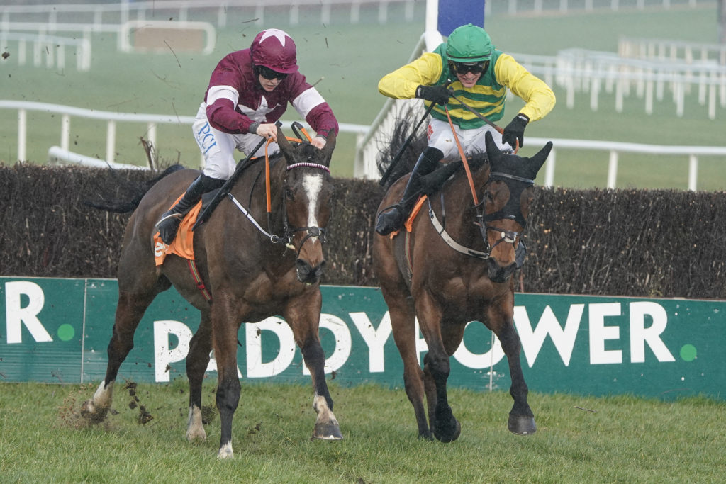 Leopardstown Races novice chase