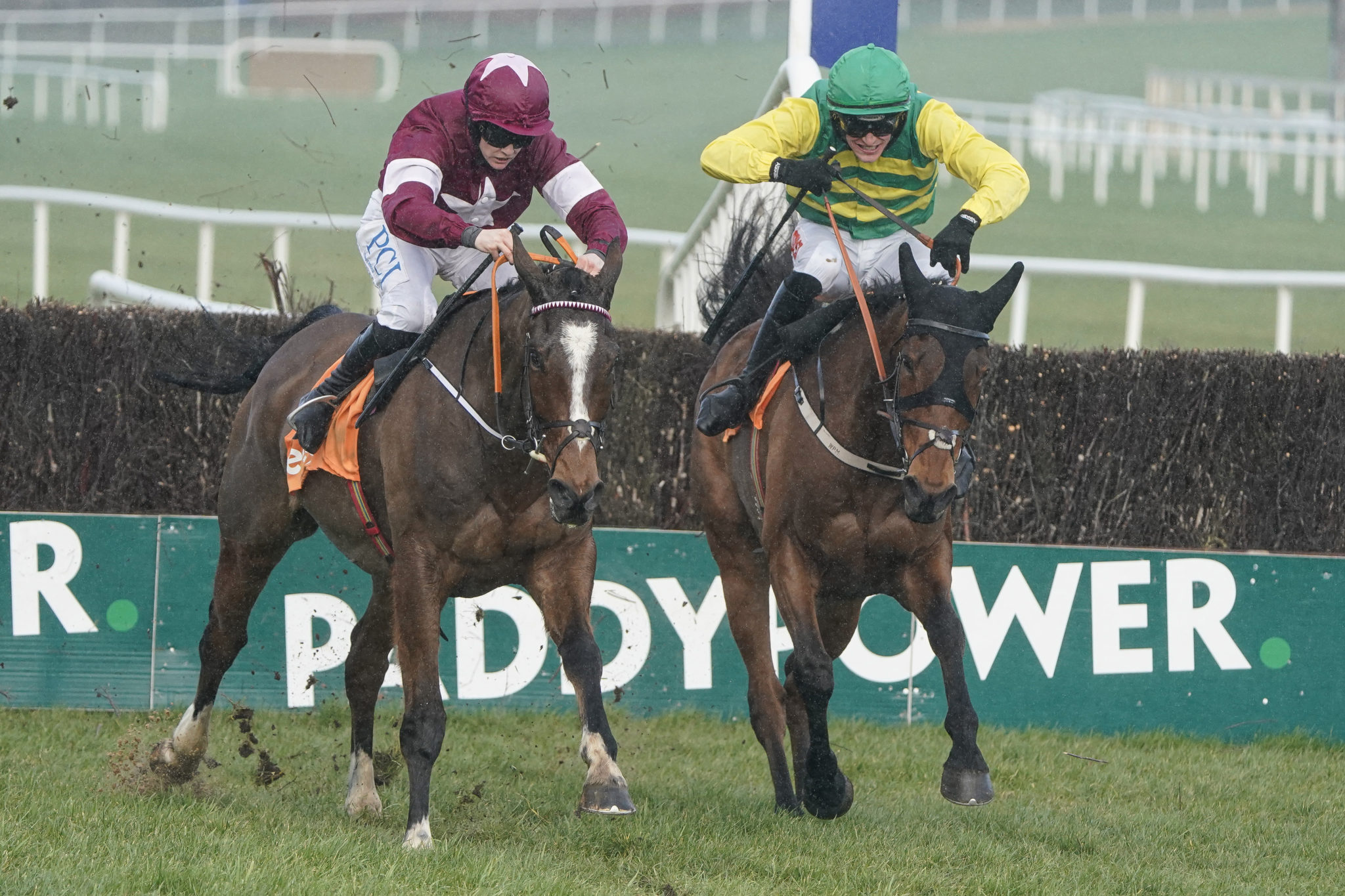 What Does Novice Chase In Horse Racing Mean How It Affects Odds