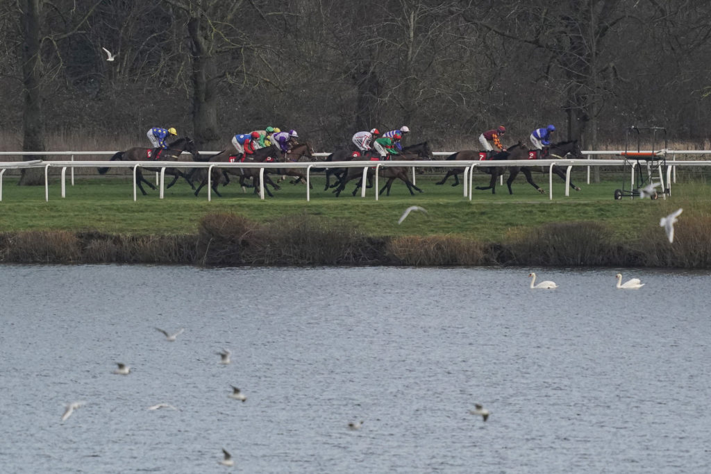 National Hunt race at Kempton Races