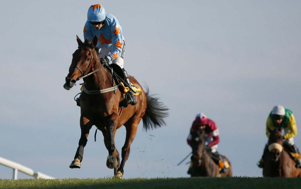 Novice chase horse racing betting guide