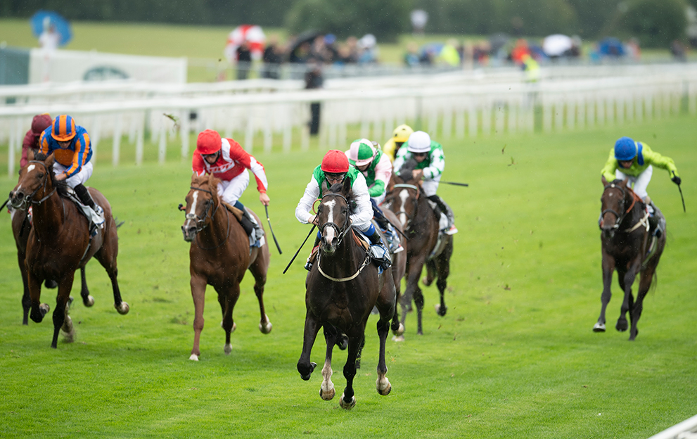 Pyledriver-wins-the-Great-Voltigeur-Stakes-at-York
